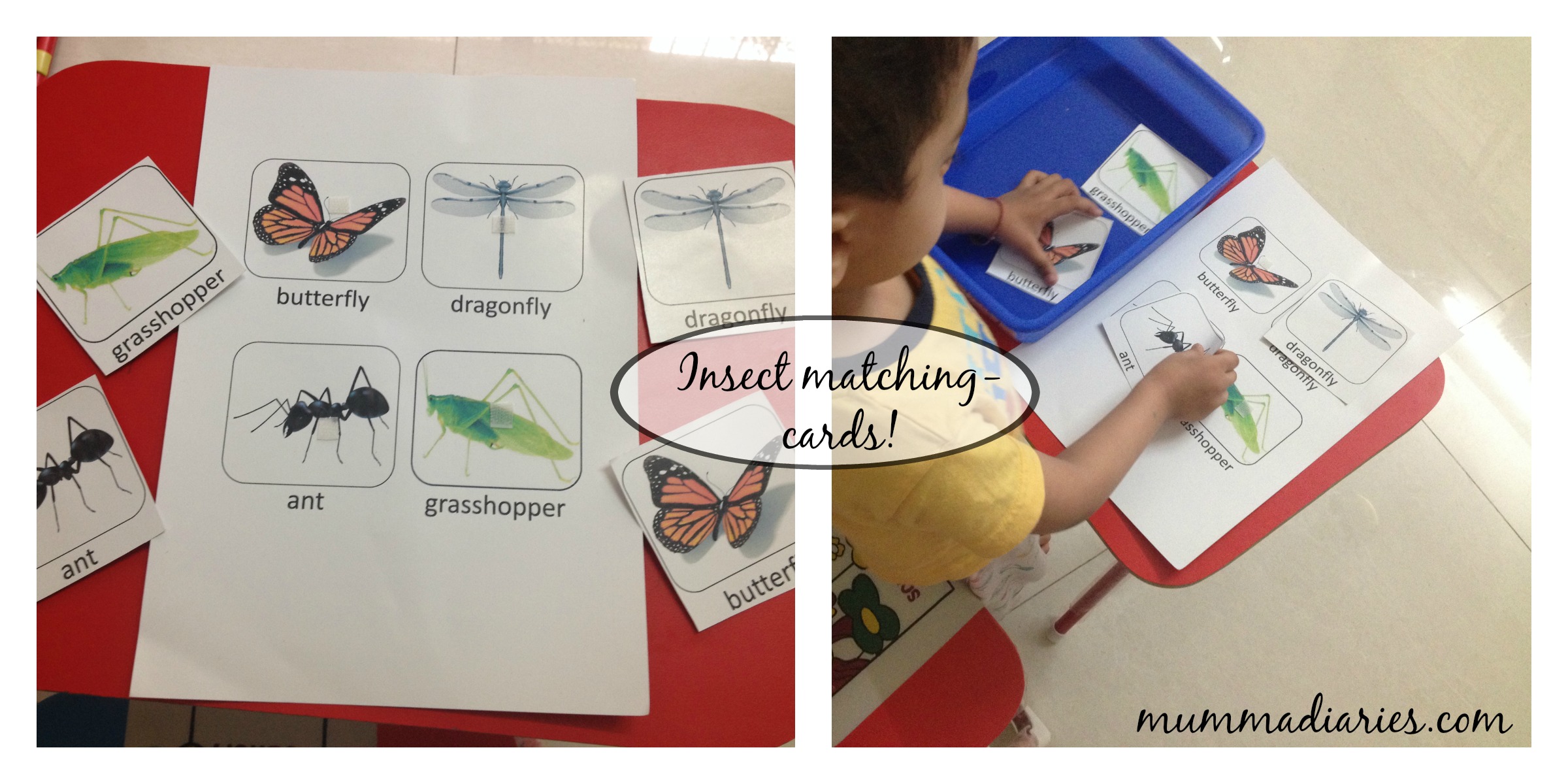 Entomology in the Montessori Home. Awesome Bug Catchers & Why You